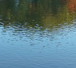 Addressing Unchecked Dumping of Drugs in Waterways