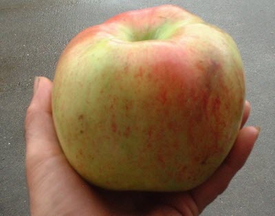 When An Apple A Day Makes Things Worse: GMO Apples