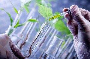 Biotech Industry Truth: Genetic Engineering Is Not So Precise